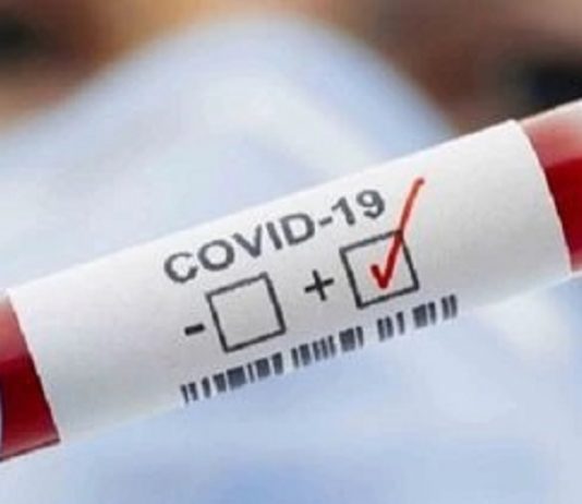 En lo que va del año son casi 600 los casos confirmados y 5 muertos por COVID en Salta