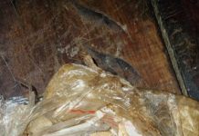 Una mujer simulaba vender “panchos” pero en realidad ofrecía cocaína en B° Ceferino