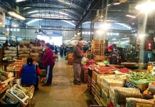 Cofruthos y el silencio de los cajones vacíos: cuando el tomate se pudre y el mostrador apaga sus luces