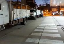 Camiones parados, ganado vendido y no entregado, cosechas que no se recogen: el faltante de gasoil en primera persona