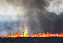 Incendio de pastizales cerca del aeropuerto de Salta generó una intensa columna de humo, pero no afectó los vuelos