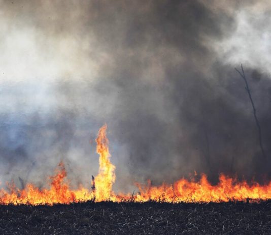 Incendio de pastizales cerca del aeropuerto de Salta generó una intensa columna de humo, pero no afectó los vuelos