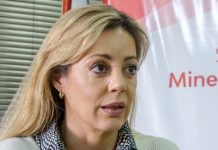 Massa avanza en Energía: la salteña Flavia Royón asumirá la secretaría y se van Darío Martínez y Federico Basualdo