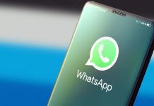 Cambios en WhatsApp: decile adiós a la foto de perfil y conoce las nuevas funciones de la app