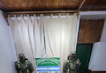 Decomisan 895 kilos de hojas de coca y más de 2 millones de pesos sin documentación