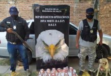 Un llamado anónimo al 911 posibilitó secuestrar más de 10 kilos de marihuana en Pichanal