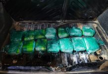 “Mark” olfateo la cocaína escondida en el tanque de combustible