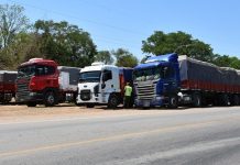 Decomisan en Aguaray 175 toneladas de maíz destinadas al contrabando a Bolivia