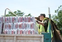 Secuestro gendarmería 783.840 litros de cerveza en lata que querían contrabandear a Bolivia