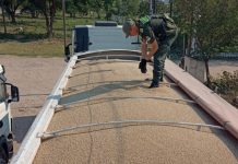 Incautan en Salta 223 toneladas de granos que estaban destinadas al contrabando en Bolivia