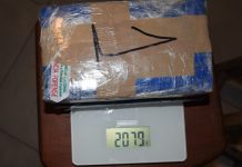 Una boliviana salió de Salta con 2 kilos de cocaína adosadas a sus piernas