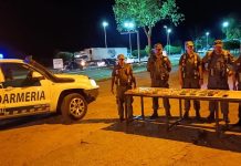 Camionero boliviano circulaba con 21 kilos de cocaína ocultos en un rodado