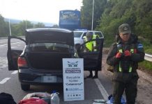 Salieron de Orán con 7 kilos de marihuana y los detuvo Gendarmería en Catamarca