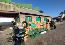 Decomisan 185 kilos de coca y 89 cubiertas que salieron de Salta y Jujuy