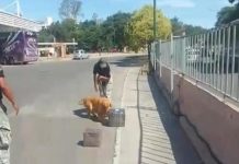 10 allanamientos para desbaratar banda narco que operaba entre Orán y Salta Capital
