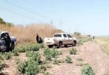 Comienza el juicio a 3 hombres que le cortaron la cabeza a un puestero rural en Pichanal