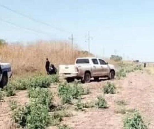 Prisión perpetua para dos hermanos por el crimen del puestero hallado decapitado en Orán