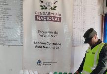 Incautan en Aguaray medicamentos para uso veterinario valuados en más de tres millones de pesos