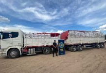 Decomisan 45 toneladas de soja cuando intentaban cruzar a Bolivia por un paso ilegal