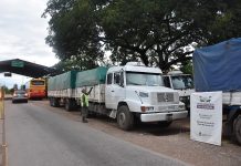 Transportaban ilegalmente 241.000 kilos de soja en 8 camiones para el contrabando a Bolivia