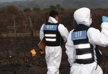 Encuentran a un hombre sin vida en un campo de Coronel Moldes