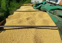 Pretendían contrabandear a Bolivia 127 toneladas de granos y cereales por Salvador Mazza