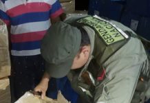 Pasaron todos los controles de Gendarmeria en Salta: en Tucumán secuestraron 304 neumáticos