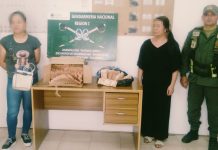 Dos mujeres chinas viajaban en colectivo con más de 20 millones de pesos en efectivo