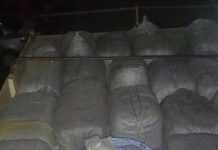 Camionero salió de Salvador Mazza con 680 kilos de coca y 32 cubiertas escondidas con soja