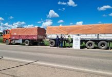 Secuestran en Aguaray 186.000 kilos de cereales que pretendían pasar a Bolivia