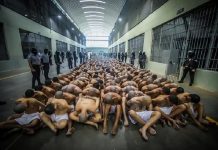 El Salvador: trasladan otros 2.000 pandilleros a la nueva cárcel y crece la aprobación de Bukele