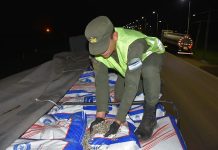En Febrero en Aguaray secuestraron 805 toneladas de granos destinadas al contrabando a Bolivia