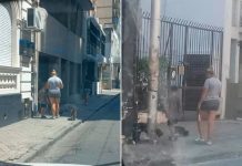 Rosario inviable: detuvieron a una policía por filtrarle información a una célula de la banda narco Los Monos