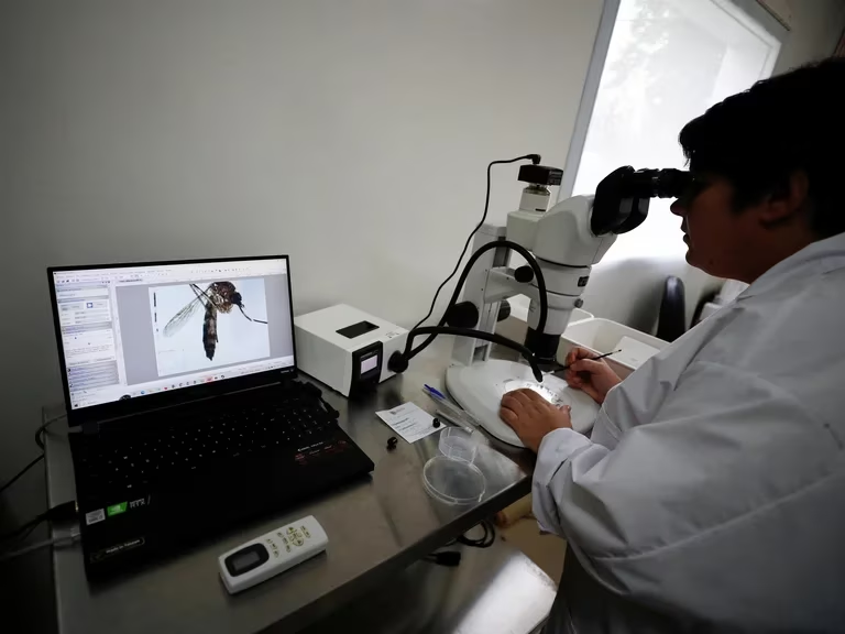 Los síntomas del dengue son: fiebre acompañada de uno o más de los siguientes síntomas: dolor detrás de los ojos; de cabeza; muscular y de articulaciones; náuseas y vómitos; cansancio intenso; aparición de manchas en la piel y picazón; sangrado de nariz y encías