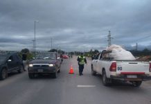 Otra vez hubo 149 conductores sancionados por manejar alcoholizados