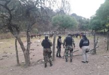 Detienen a 9 integrantes de la banda criminal de abigeato que operaba en el Valle de Lerma