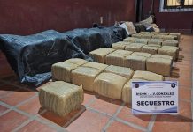 Gendarmería descubrió 361kilos de marihuana en la zona minera de Los Andes