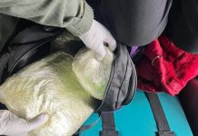 Viajaba en remis a El Galpón con 2 kilos de marihuana en la mochila