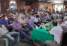 Productores de tabaco de Salta y Jujuy estimaron una pérdida de u$s 900 millones del FET