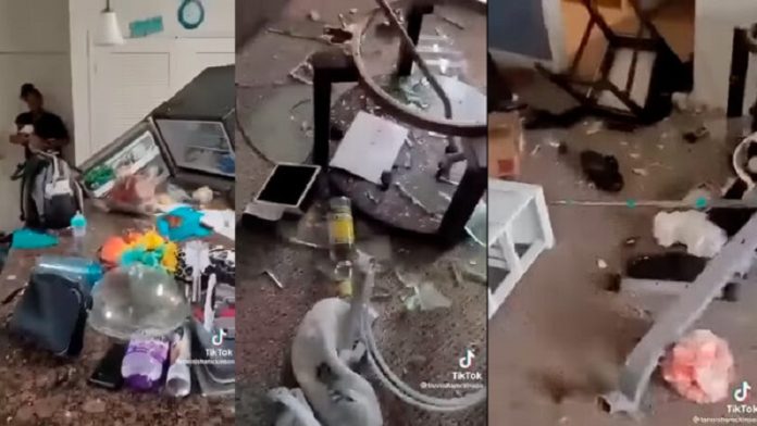 rompio los muebles de la casa
