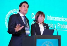 Melconian cargó contra Massa por la suba del dólar blue: “Meté preso a quien quieras, pero sos el que está generando esto”