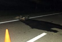 Murió anoche un motociclista en La Merced al chocar con un camión en la ruta 68