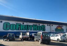 Cofruthos pagará 17.480.000 pesos de luz: ¿aumentan los precios en el mercado?