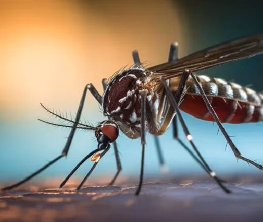 Salvador Mazza concentra el 66% de los casos de Chikungunya de Salta