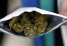 Un estudiante de 13 años de Metan ingresó al aula llevando marihuana en su mochila