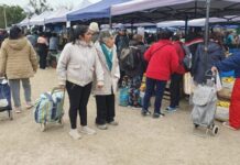 ¡El Mercado en tu Barrio! llega mañana miércoles al Delmi con promociones exclusivas