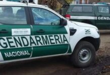 Fuga, persecución y choque en Orán: detuvieron a una mujer que tenía pedido de captura
