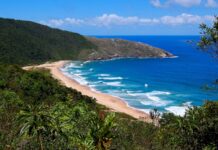 Real barato: cuánto cuestan 20 productos básicos en supermercados de Florianópolis y Buenos Aires