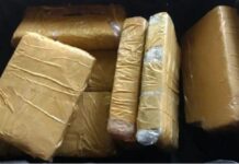 Golpe al narcotráfico en Orán: secuestran más de 45 kilos de marihuana en un colectivo