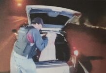 Choque, persecución y agresion a policías para proteger 46 kilos de droga en la ruta 50 en Orán